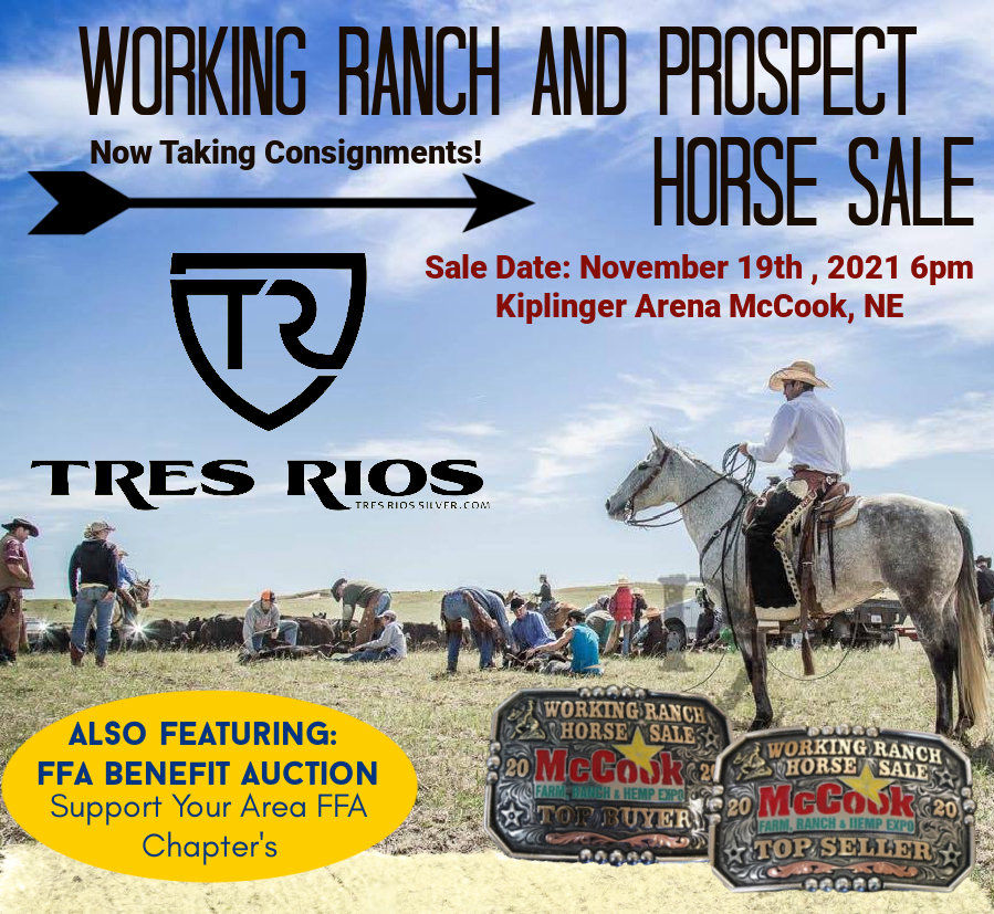 Working Ranch & Prospect Horse Sale
